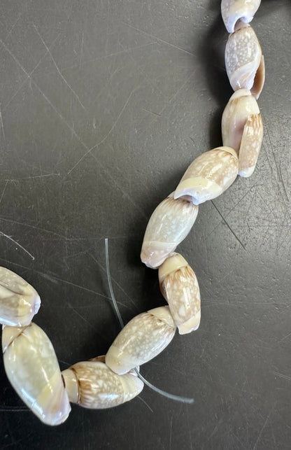 Vintage Australian Limpet Shell Lei