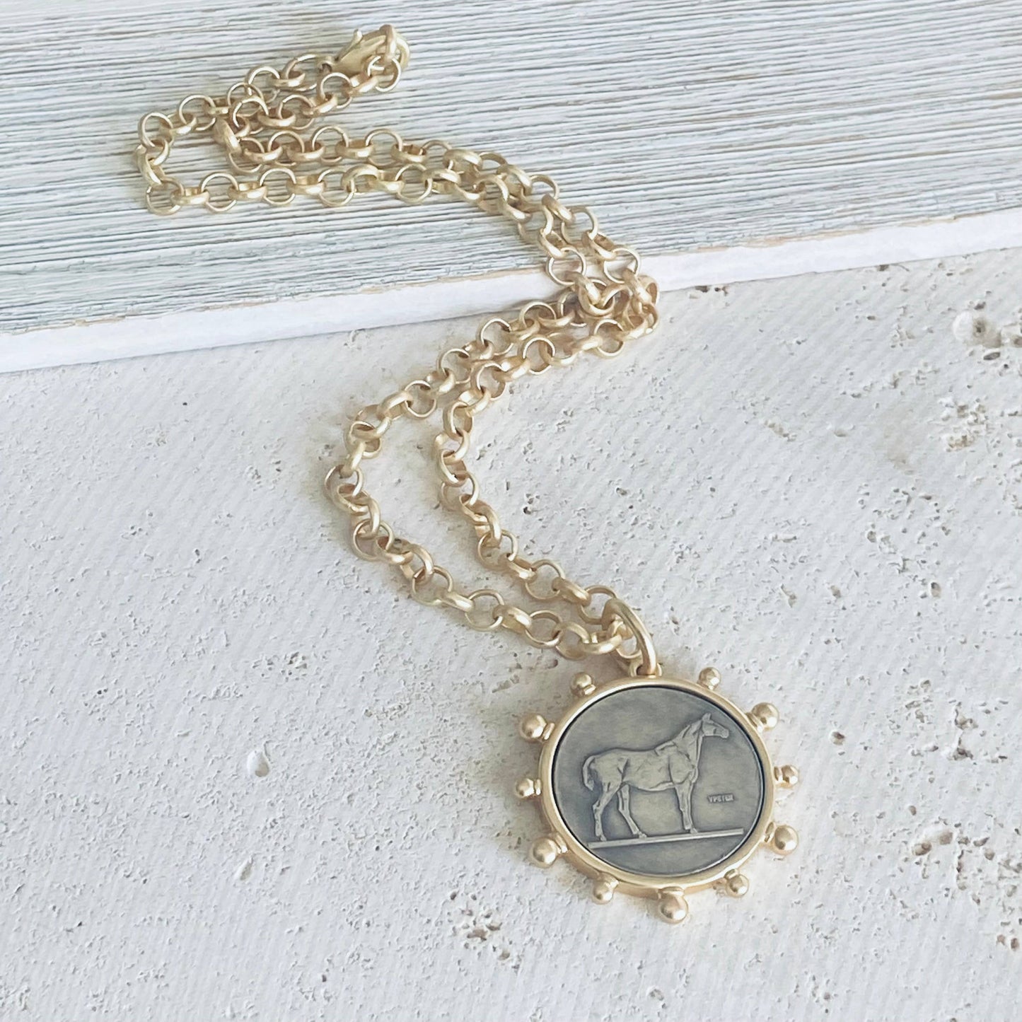 Matte Gold Equestrian Collector Rolo Chain horse Coin Charm Necklace 